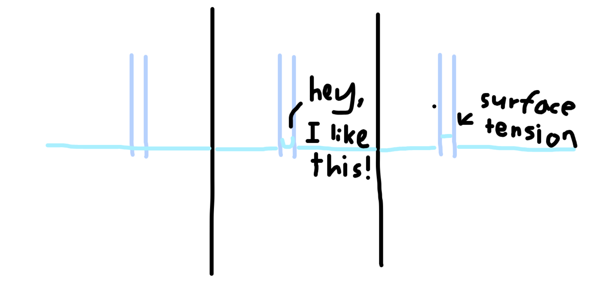 diagram of capillary action